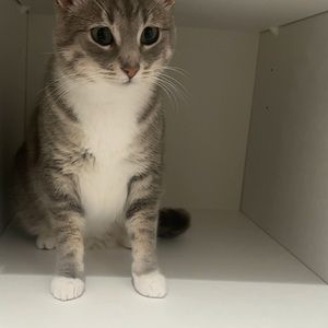 Meet your Posher, Riley